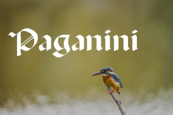 Paganini: A Gothic Font for Bold Branding