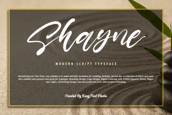 Shayne: The Modern Script Font for Creative Projects